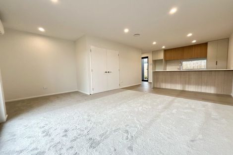 Photo of property in 1/2 Deloraine Street, Somerfield, Christchurch, 8024