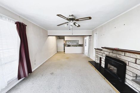 Photo of property in 6 Station Street, Tirau, 3410