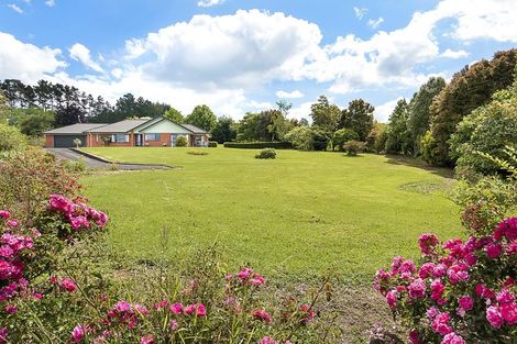 Photo of property in 11c Te Awa Kite Road, Onewhero, Tuakau, 2697