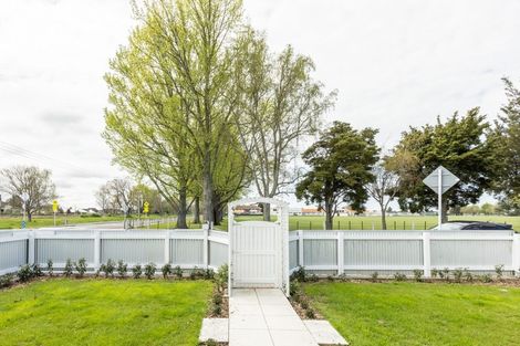 Photo of property in 103 Murdoch Road East, Akina, Hastings, 4122