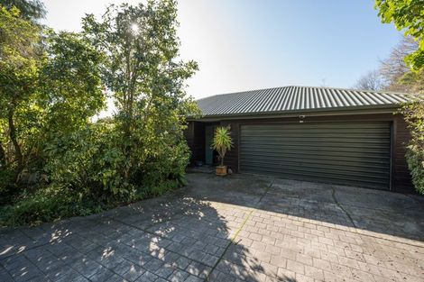 Photo of property in 26 Allan Street, Nelson South, Nelson, 7010