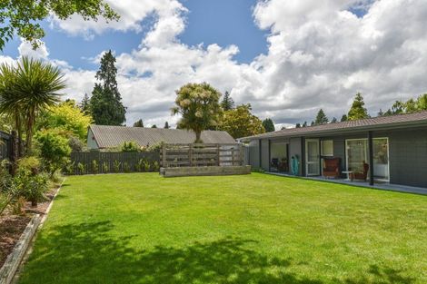 Photo of property in 12 Mildred Place, Springfield, Rotorua, 3015