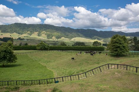 Photo of property in 922 Old Te Aroha Road, Okauia, Matamata, 3471