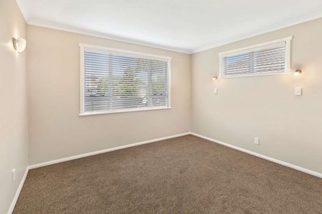 Photo of property in 56 Windsor Street, Terrace End, Palmerston North, 4410