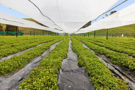 Photo of property in 24 Johnson Road, Pukehina, Te Puke, 3186