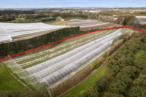 Photo of property in 44 Walker Road West, Aongatete, Katikati, 3178