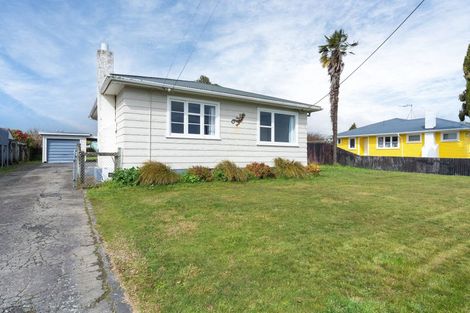 Photo of property in 17 Reeve Street, Levin, 5510