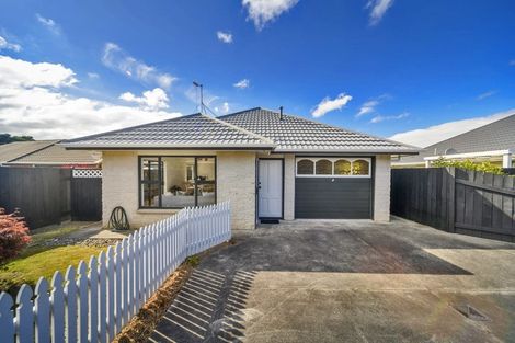 Photo of property in 7c Carroll Street, Palmerston North, 4410