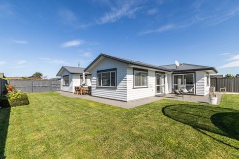 Photo of property in 49 Matariki Avenue, Frimley, Hastings, 4120