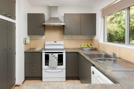 Photo of property in 46 Alma Street, Renwick, 7204