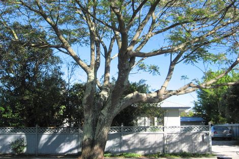 Photo of property in 31 Kara Street, Outer Kaiti, Gisborne, 4010