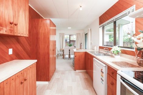 Photo of property in 405a Peachgrove Road, Fairfield, Hamilton, 3214