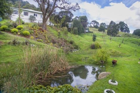 Photo of property in 550 Kaipara Flats Road, Dome Forest, Warkworth, 0981