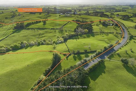 Photo of property in 290 Ostrich Road, Patumahoe, Pukekohe, 2679