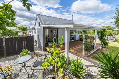 Photo of property in 16 Matipo Street, Lansdowne, Masterton, 5810