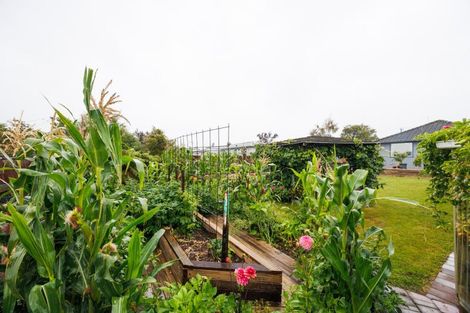 Photo of property in 30 Pharazyn Street, Feilding, 4702