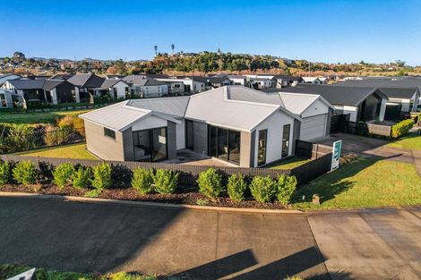 Photo of property in 42 Hinaki Street, Poike, Tauranga, 3112