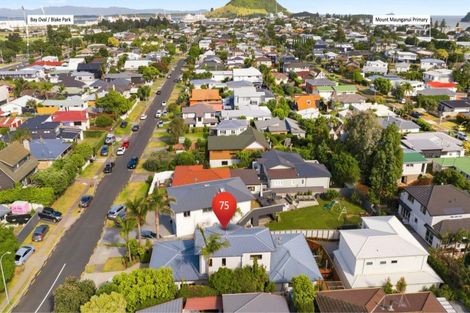 Photo of property in 75 Campbell Road, Mount Maunganui, 3116