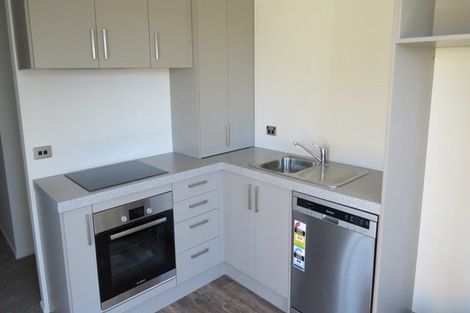 Photo of property in 1/17 Enderley Avenue, Enderley, Hamilton, 3214