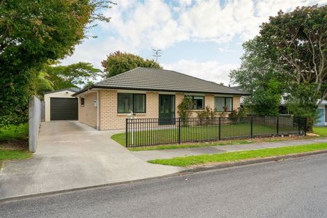 Photo of property in 38 Argyle Avenue, Levin, 5510