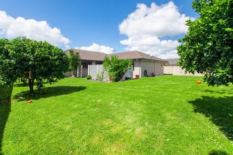 Photo of property in 39 Tuirangi Street, Flagstaff, Hamilton, 3210