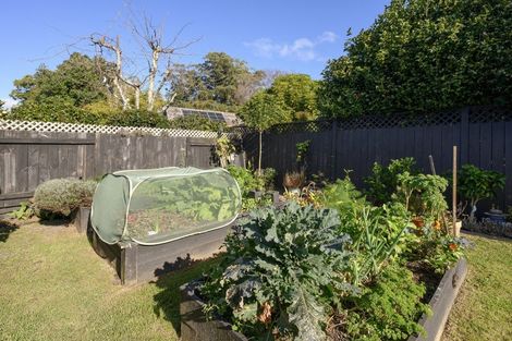 Photo of property in 15 Hansard Place, Bethlehem, Tauranga, 3110