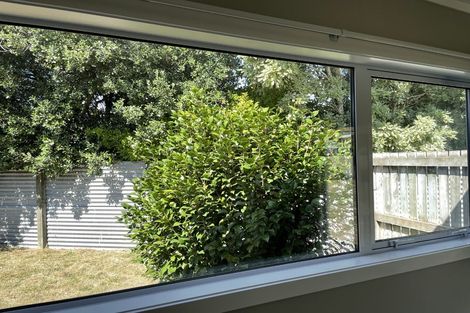 Photo of property in 43 Millar Street, Terrace End, Palmerston North, 4410