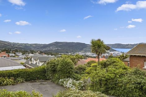Photo of property in 19g Sheen Street, Roslyn, Dunedin, 9010