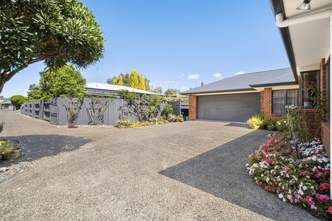 Photo of property in 27a Knowles Street, Terrace End, Palmerston North, 4410