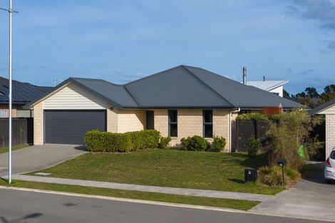 Photo of property in 18 Lancaster Avenue, Burleigh, Blenheim, 7201