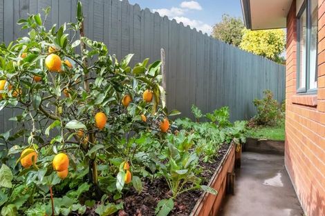 Photo of property in 4 Emmerdale Avenue, Papakura, 2110