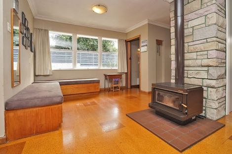 Photo of property in 15 Clark Place, Hillcrest, Hamilton, 3216