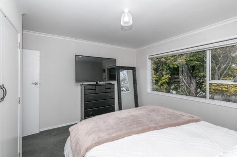 Photo of property in 42a Alison Street, Hamilton Lake, Hamilton, 3204