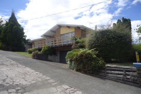 Photo of property in 111 Arapuni Street, Putaruru, 3411
