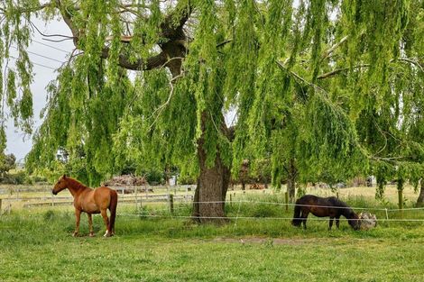 Photo of property in 1199 Parnassus Road, Ferniehurst, Cheviot, 7384