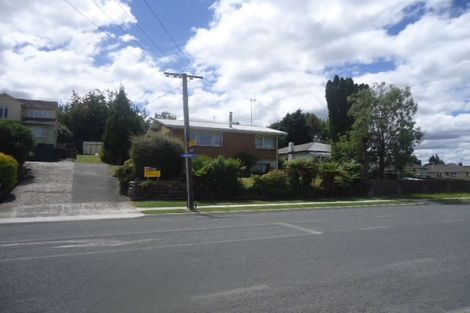 Photo of property in 111 Arapuni Street, Putaruru, 3411