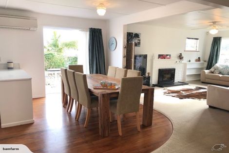 Photo of property in 50 Pagitt Street, Coromandel, 3506