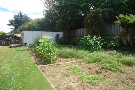 Photo of property in 111 Arapuni Street, Putaruru, 3411