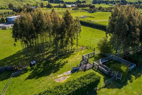 Photo of property in 881a Norfolk Road, Upper Plain, Carterton, 5791