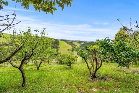 Photo of property in 503 Matapouri Road, Tutukaka, Whangarei, 0173