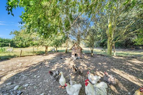 Photo of property in 544 Corbett Road, Richmond, Oamaru, 9494