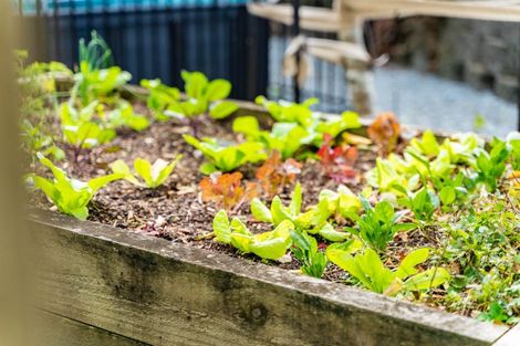 Photo of property in 44 Darch Point Road, Whangarei Heads, Whangarei, 0174