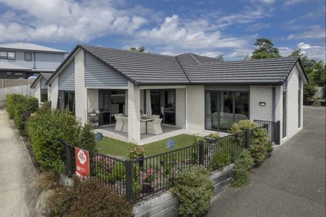 Photo of property in 5 Gumtree Lane, Omokoroa, 3114