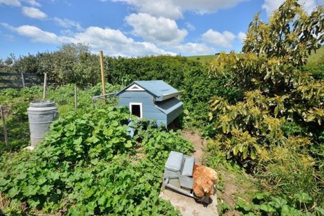 Photo of property in 363 Wharekopae Road, Patutahi, Gisborne, 4072