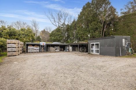 Photo of property in 44 Walker Road West, Aongatete, Katikati, 3178