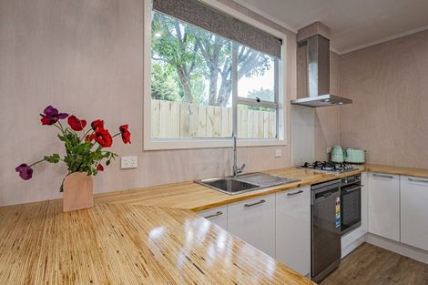 Photo of property in 60f Burns Street, Ohakune, 4625