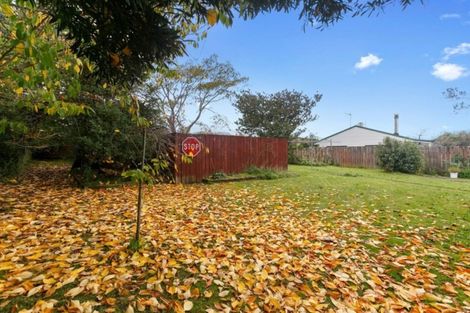 Photo of property in 26 Tonga Street, Taupo, 3330