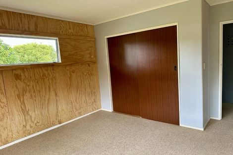 Photo of property in 137 Winchester Street, Ashhurst, 4810