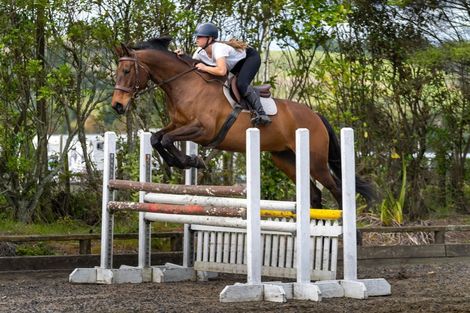 Photo of property in 132 Muriwai Valley Road, Muriwai, Waimauku, 0881