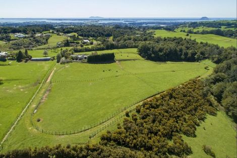 Photo of property in 30 Goodall Road, Snells Beach, 0920